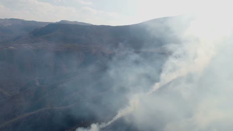 Toma-aérea-de-un-bosque-quemado-para-arriba