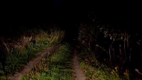 Conducir-en-el-camino-Rural-mal-por-la-noche-a-la-luz-de-las-linternas-en-el-bosque