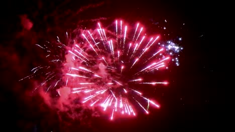 Bright-fireworks-on-the-background-of-the-night-sky-on-New-Year's-Eve.-Looped