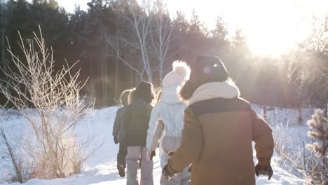 Familie-von-sieben-Wanderungen-im-Winter