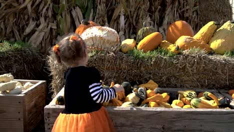 Kleinkind-Mädchen-in-süße-Halloween-Kleid-auf-der-Suche-nach-perfekter-Kürbis-auf-dem-Kürbisfeld.