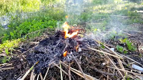 un-incendio-quema-en-el-jardín