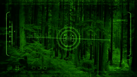 Night-Vision-POV-Moving-Through-Forest