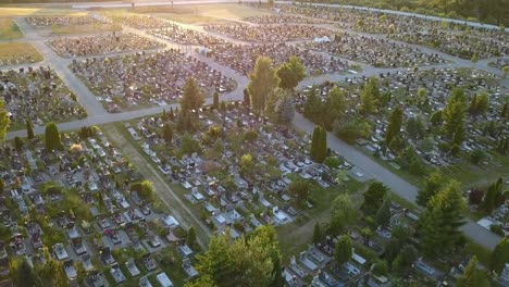 Antenne-des-Friedhof-mit-Bäumen-bei-Sonnenuntergang