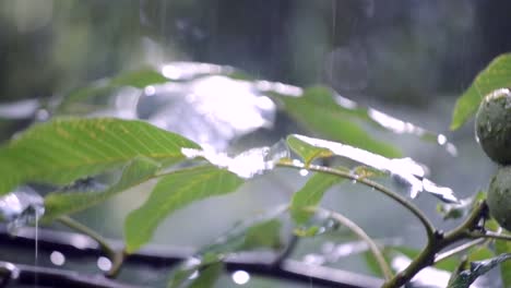 Precipitaciones-de-lluvias-ducha-aguacero-aguacero-viene-durante-el-día.