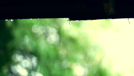 Falling-rain-and-water-drop-from-roof-.