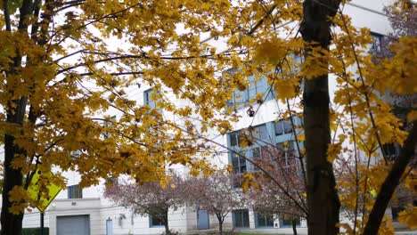 Schuss-von-einem-Firmengebäude-zu-etablieren,-wie-im-Herbst-durch-den-Herbst-Blätter