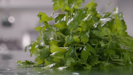 Falling-of-parsley-into-the-wet-table.-Slow-motion-240-fps