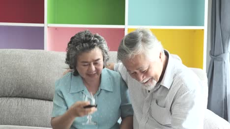 Senior-couple-sitting-and-drinking-red-wine-together-in-living-room.