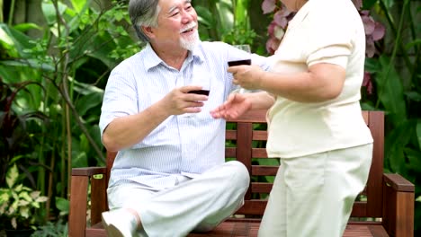 Älteres-paar-sitzen-und-trinken-Rotwein-zusammen-im-heimischen-Garten.