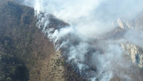 Eine-bewegende-Luftaufnahmen-von-dichtem-Rauch-im-Wald