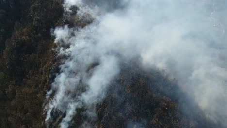 Imágenes-aéreas-de-un-bosque-quemado-para-arriba-cubren-de-humo