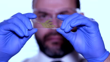 Biologist-examines-sample.-Science,-biology,-ecology.-Professional-scientist-wearing-protective-mask-working-with-herb-samples-in-his-laboratory.-Male-scientist-looking-at-plant-leaf-in-glass-slide.