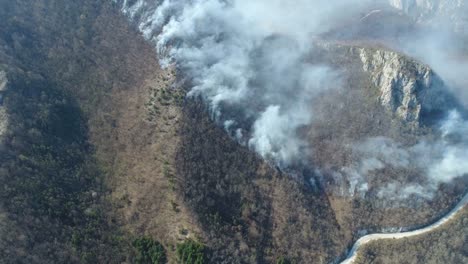 A-moving-aerial-shot-of-thick-smoke-in-the-woods-covering-the-whole-area