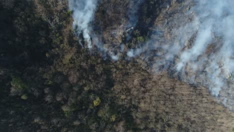 Aerial-footage,-the-fire-is-smoldering-in-the-woods...