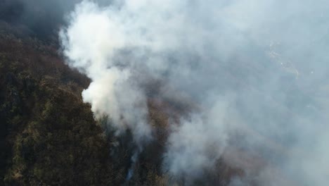 Aerial-shot-of-a-flared-up-woods