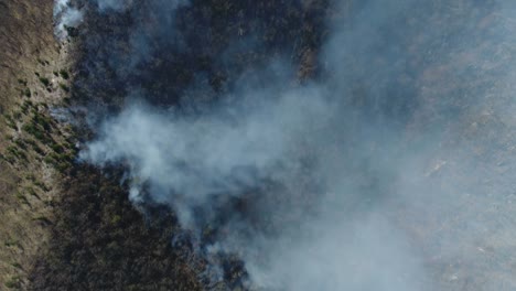 An-aerial-vertical-shot-showing-the-woods-in-thick-smoke