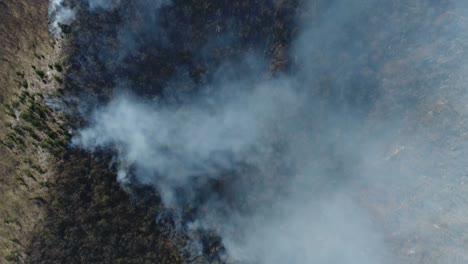 Una-antena-vertical-tiro-mostrando-los-bosques-en-humo