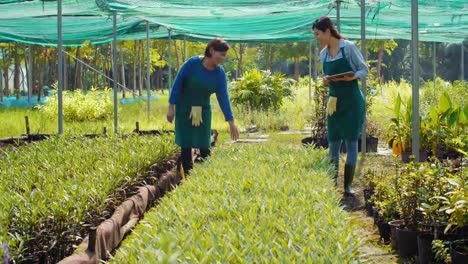 Mujer-jardineros,-control-de-plantas