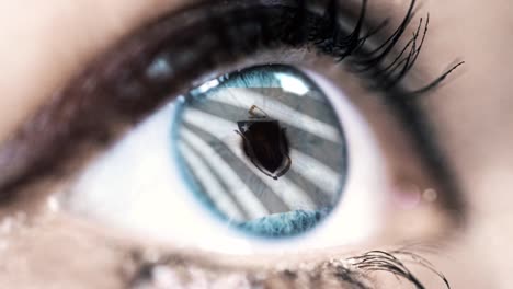 Woman-blue-eye-in-close-up-with-the-flag-of-Massachusetts-state-in-iris,-united-states-of-america-with-wind-motion.-video-concept