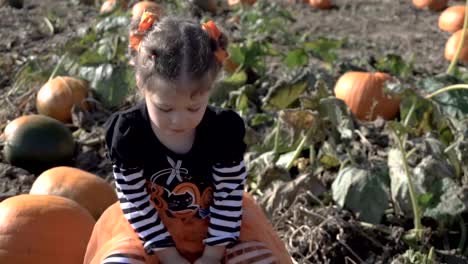 Kleinkind-Mädchen-in-süße-Halloween-Kleid-auf-der-Suche-nach-perfekter-Kürbis-auf-dem-Kürbisfeld.