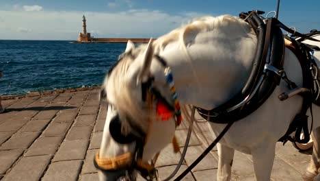 Paseo-marítimo-de-Chania,-Creta,-Grecia