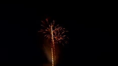 Colorful,-beautiful-fireworks-explode-in-the-night-sky.