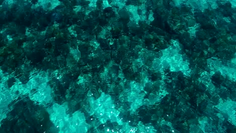 Background.-Turquoise-water-with-underwater-reefs.-Sun-glare.