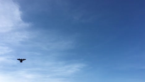 nubes-sobre-un-fondo-de-cielo-azul