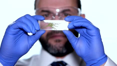 Biologist-examines-sample.-Science,-biology,-ecology.-Professional-scientist-wearing-protective-mask-working-with-herb-samples-in-his-laboratory.-Male-scientist-looking-at-plant-leaf-in-glass-slide.