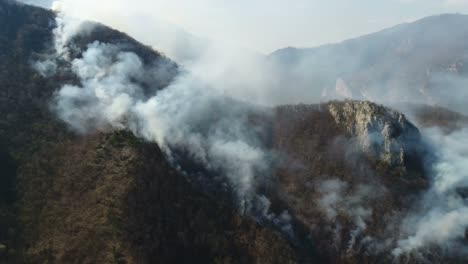 Un-tiro-aéreo-móvil-de-humo-en-el-bosque-que-cubre-toda-la-zona