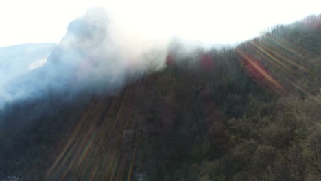 Aerial-footage-of-the-woods-covered-in-smoke