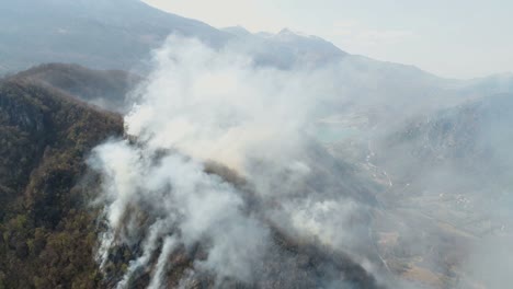 Aerial-footage-of-a-forest-covered-in-thick-smoke