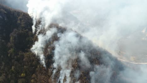 An-aerial-and-moving-shot-showing-the-woods-in-flame,-thick-smoke-covering-the-area
