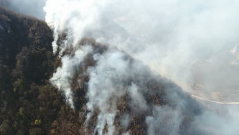 Eine-Antenne-und-bewegende-Aufnahme-zeigt-den-Wald-in-Flammen,-Rauch-auf-der-Fläche