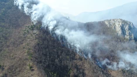 Imágenes-del-bosque-cubren-de-humo