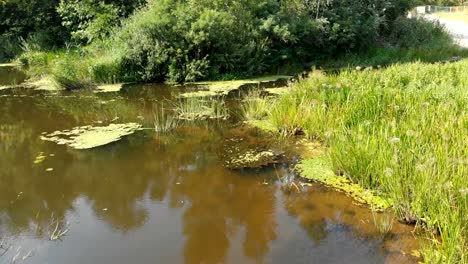 River-Bed---top-view-from-drone