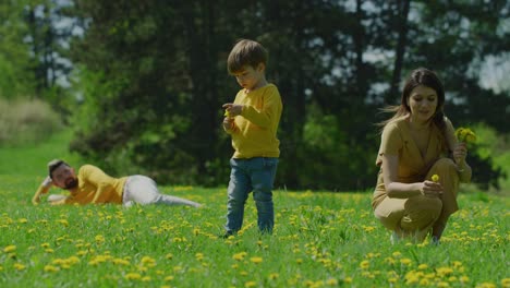 Mutter-pflücken-Löwenzahn-mit-ihrem-Sohn