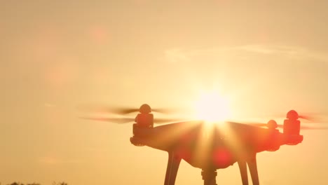 Abejón-de-película-muy-lenta-hasta-la-silueta-con-la-cámara-volando-sobre-sol-de-oro