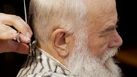 Professional-barber-cuts-gray-hair-of-old-man