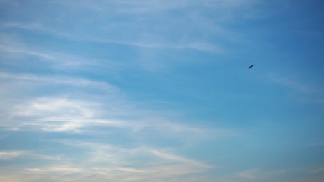 Airplane-flying-in-sky.