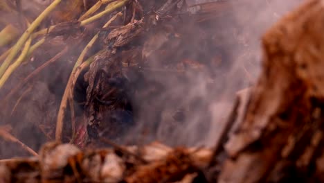 Slow-Motion-Feuer-brennenden-Müllsack-auf-dunklen-Backgorund-Sonnenaufgang.