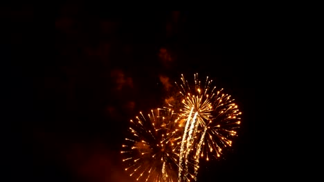 Colorful,-beautiful-fireworks-explode-in-the-night-sky.