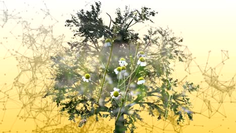 Mixta-de-dos-de-animación-en-3d-del-árbol-con-flores-de-manzanilla