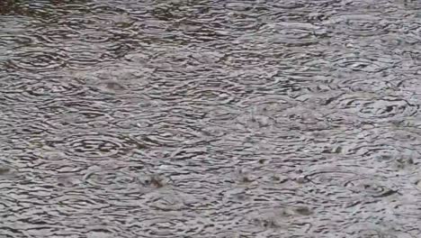 Gotas-de-lluvia-pesada-en-agua-con-cámara-de-alta-velocidad,-para-Charco-superficial-húmedo-clima,-naturaleza-líquida-abstracta-closeup-video.-Temporada-caída-de-gota-de-agua.-Splash,-ondulación-de-la-carretera-en-la-ciudad-de-la-lluvia.