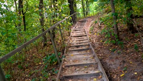 Wooden-staircase-in-the-forest