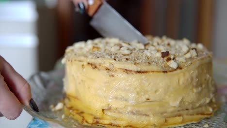 Close-up-of-cutting-a-cake-with-a-large-knife