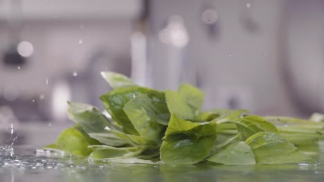 Falling-of-green-basil-into-the-water.-Slow-motion-240-fps