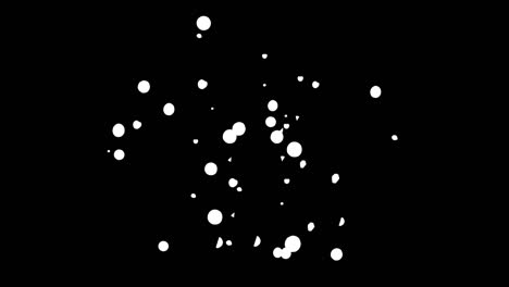 abstrakte-Früchte-Feuerwerk-auf-alpha-chenal