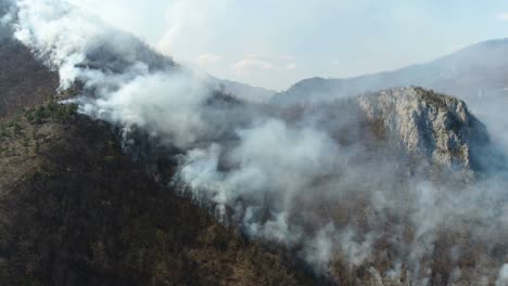 Luftaufnahmen-von-eine-ausgestellte-bis-Wald-bedeckt-mit-dichten-Rauch